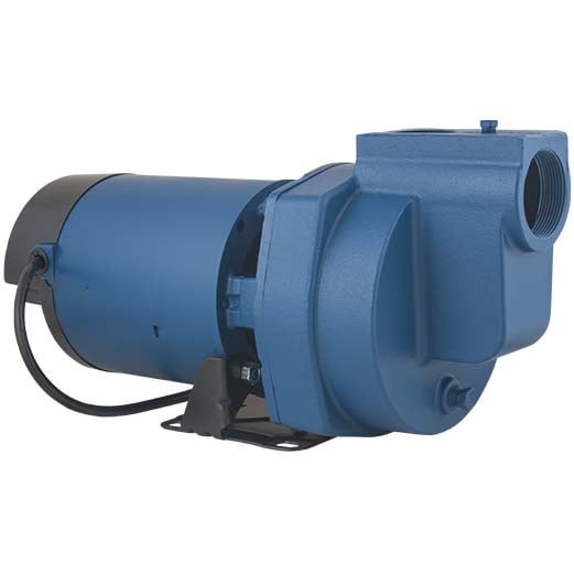 Flint and Walling 1HP SP Sprinkler Pump