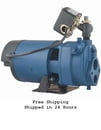 Flint and Walling Selection of CPH Convertble Deepwell Series Jet Pumps, Parts, and Motors