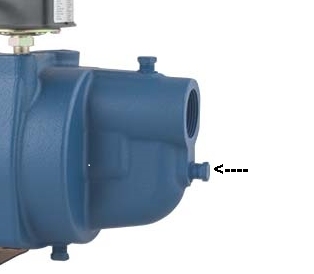 SW Pump Nose